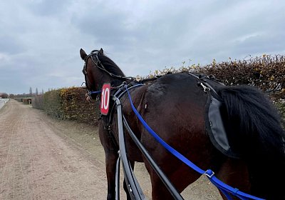 Boris 23 nov21 Boris Y IMG 9663