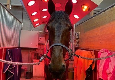 Boris 23 nov21 Boris Y IMG 9668