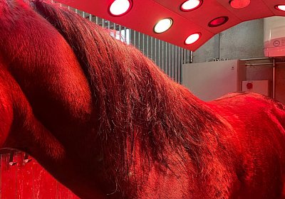 Boris 23 nov21 Boris Y IMG 9670