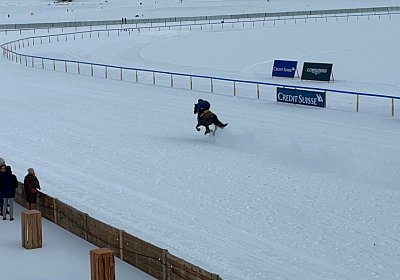 StMoritz 6feb2022 IMG 5086 Vienna