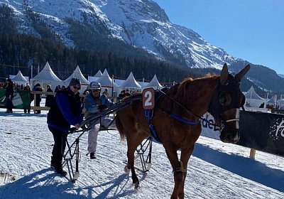 StMoritz 13feb2022 J Daisy