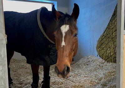 StMoritz 13feb2022 L Toscano IMG 5596