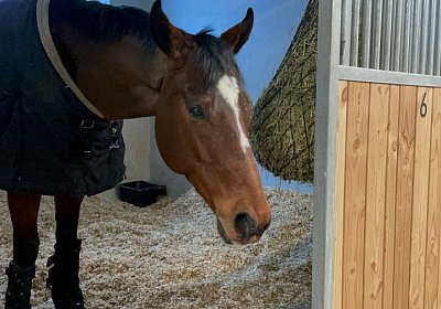 StMoritz 13feb2022 L Toscano IMG 5598