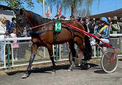 Frauenfeld 18april22 C IMG 0115 Sonny