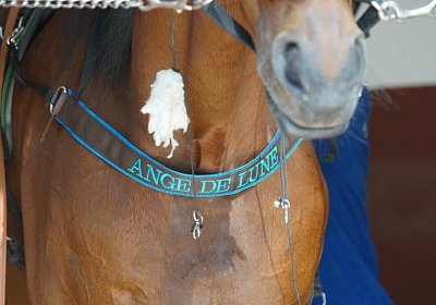 1Mai2022 M DSC06525 Ange