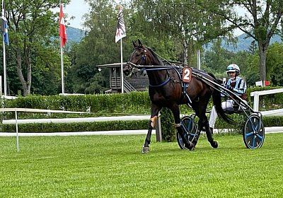 Aarau 22Mai 2022 B IMG 2604 Achille