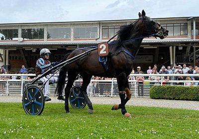 Aarau 22Mai 2022 B IMG 2622 Achille
