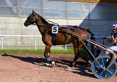 Av 25Mai 2022 A IMG 2847 Ina