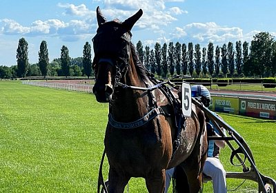 Av 25Mai 2022 C IMG 2856 Ina