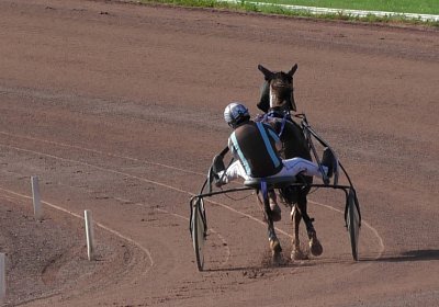 Av 25Mai 2022 C S6130027 ItsDay