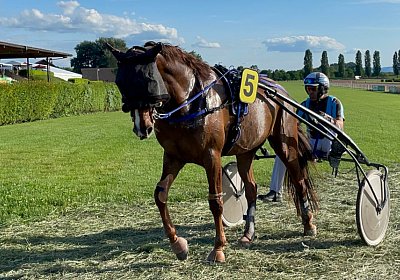 Av 25Mai 2022 D IMG 2861 ItsDay