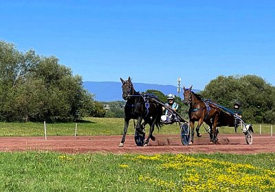 Av 9August2022 Achille Noon IMG 6949 Achille Noon