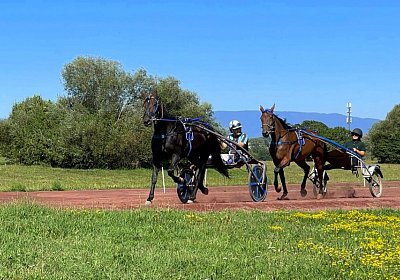 Av 9August2022 Achille Noon IMG 6950 Achille Noon