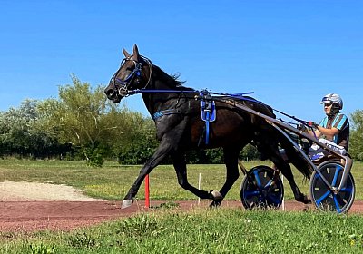 Av 9August2022 Achille Noon IMG 6954 Achille