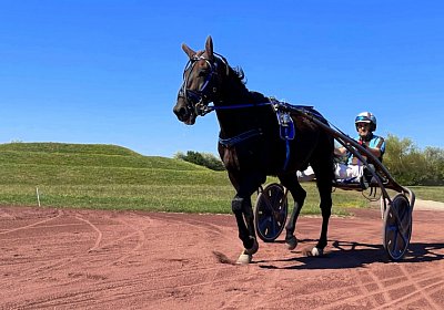 Av 9August2022 Achille Noon IMG 6965 Achille