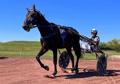 Av 9August2022 Achille Noon IMG 6966 Achille