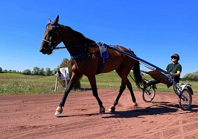 Av 9August2022 Achille Noon IMG 6968 Noon