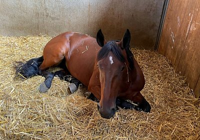 Av 9August2022 Achille Noon IMG 6972 Divina