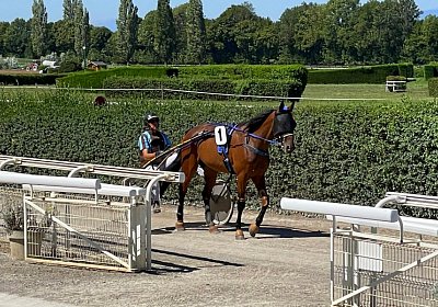 Av 9August2022 Achille Noon IMG 6975 Noon