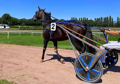 Av 9August2022 Achille Noon IMG 6985 Achille