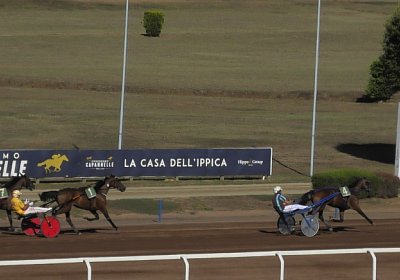 Rom 2022 09 18 I S6550044 Divina-Race