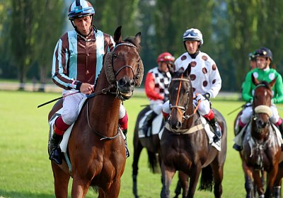 Maienfeld 2022 10 02 B AMET5537 Cuarto