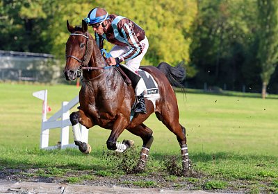 Maienfeld 2022 10 02 B AMET5670 Cuarto