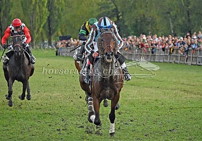 Maienfeld 2022 10 02 C uw 09 09 al quarto etc Cuarto