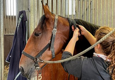 Av 2022 10 04 IMG 0857 Jackpot