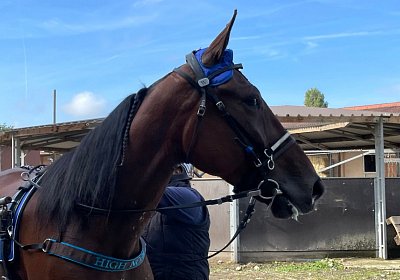 Av 2022 10 04 IMG 0867 Noon