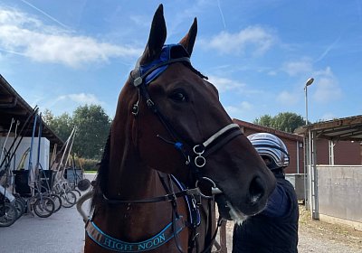 Av 2022 10 04 IMG 0868 Noon