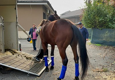 2022 10 14 MilanoIMG 1532 Rushmore