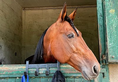 2022 10 14 MilanoIMG 1564