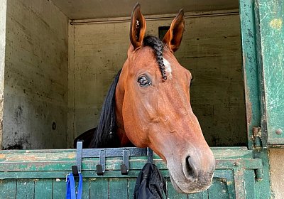 2022 10 14 MilanoIMG 1565 Vessillo