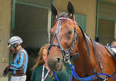 2022 10 14 MilanoK IMG 1635 Rushmore