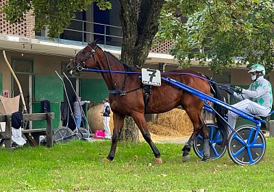 2022 10 14 MilanoK IMG 1653 Rushmore