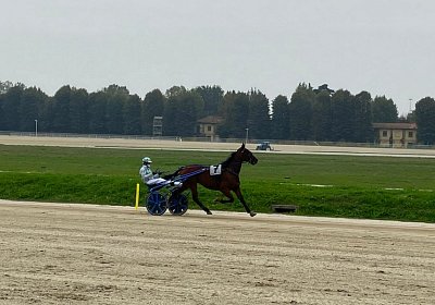 2022 10 14 MilanoL IMG 1671 Rushmore