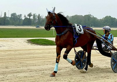 2022 10 14 MilanoL IMG 1680 Vessillo