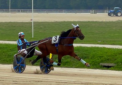 2022 10 14 MilanoL IMG 1703 Vessillo