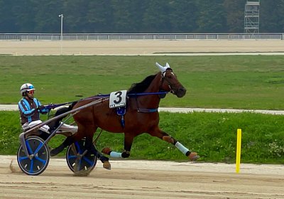 2022 10 14 MilanoL IMG 1705 Vessillo