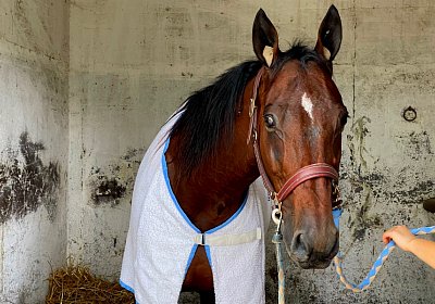 2022 10 14 MilanoL IMG 1730 Rushmore