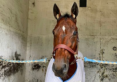 2022 10 14 MilanoL IMG 1731 Rushmore