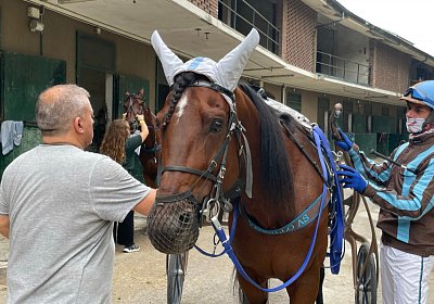 2022 10 14 MilanoL IMG 1745 Vessillo