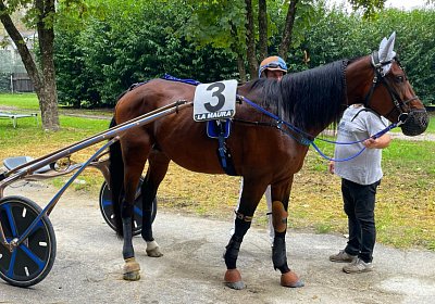 2022 10 14 MilanoL IMG 1746 Vessillo