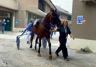 2022 10 14 MilanoL IMG 1753 Rushmore