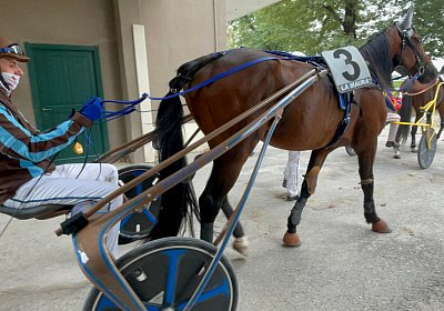 2022 10 14 MilanoL IMG 1758 Vessillo