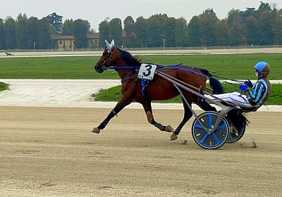 2022 10 14 MilanoL IMG 1772 Vessillo