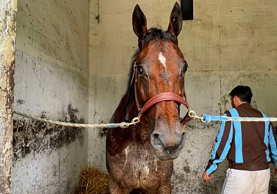 2022 10 14 MilanoT IMG 1781 Rushmore