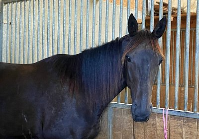 2022 10 18 Av Jack IMG 1953