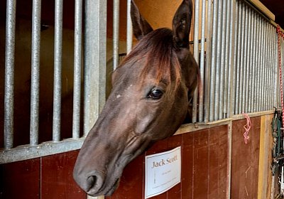 2022 10 18 Av Jack IMG 1954